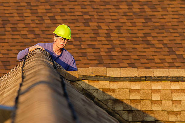 Best Best Roofing Contractors  in Kaibito, AZ